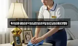 특수청소화재청소바닥청소공장청소사무실청소준공청소예초대행집