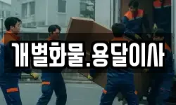 개별화물.용달이사