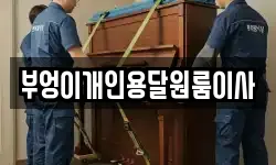 부엉이개인용달원룸이사