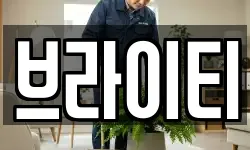 브라이티