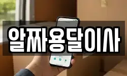 알짜용달이사