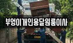 부엉이개인용달원룸이사