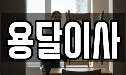 용달이사