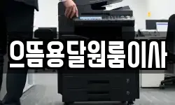 으뜸용달원룸이사