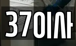 37이사