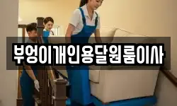 부엉이개인용달원룸이사