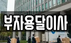 부자용달이사