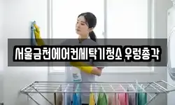 서울금천에어컨세탁기청소 우렁총각