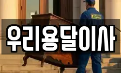 우리용달이사