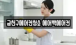 금천구에어컨청소 에어백에어컨