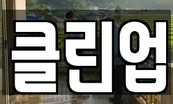 클린업