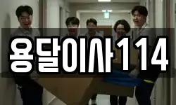 용달이사114