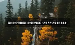 퀵서비스오토바이퀵다마스퀵1톤용달2.5톤3.5톤5톤윙카원룸이사