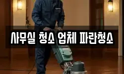 사무실 청소 업체 파란청소