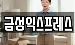 금성익스프레스