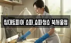 침대토피아 소파,쇼파청소 북서울점