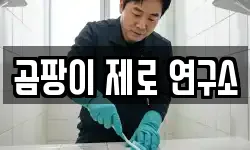 서울특별시 노원구 월계동 청소,입주청소,사무실청소,에어컨청소