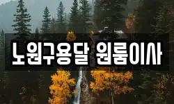 노원구용달 원룸이사