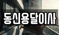 동신용달이사