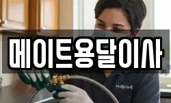 메이트용달이사