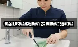 청소업체,바닥청소사무실청소상가준공장매청소창고건물류대청소