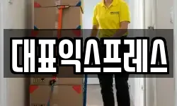 대표익스프레스