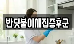 반딧불이새집증후군