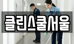 클린스쿨서울