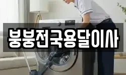 붕붕전국용달이사