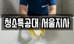 청소특공대 서울지사
