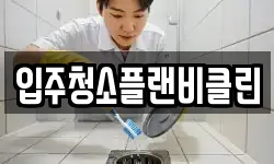 입주청소플랜비클린