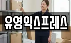 유영익스프레스