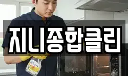 지니종합클린