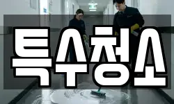 특수청소