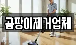 곰팡이제거업체