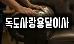 독도사랑용달이사