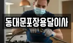 동대문포장용달이사