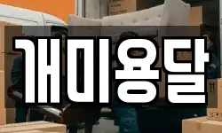 개미용달