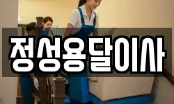 정성용달이사