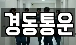 경동통운
