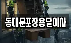 동대문포장용달이사