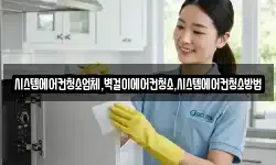 시스템에어컨청소업체,벽걸이에어컨청소,시스템에어컨청소방법