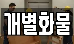 개별화물