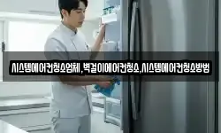 시스템에어컨청소업체,벽걸이에어컨청소,시스템에어컨청소방법