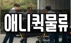 애니퀵물류