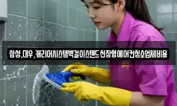 삼성,대우,캐리어시스템벽걸이스탠드천장형에어컨청소업체비용