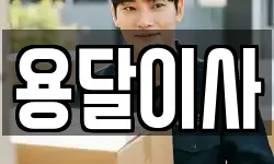 용달이사