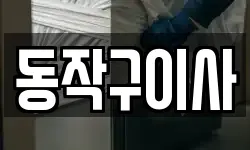 동작구이사