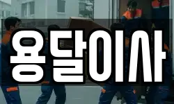 용달이사