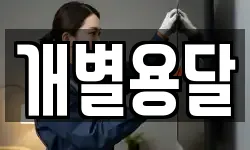 개별용달